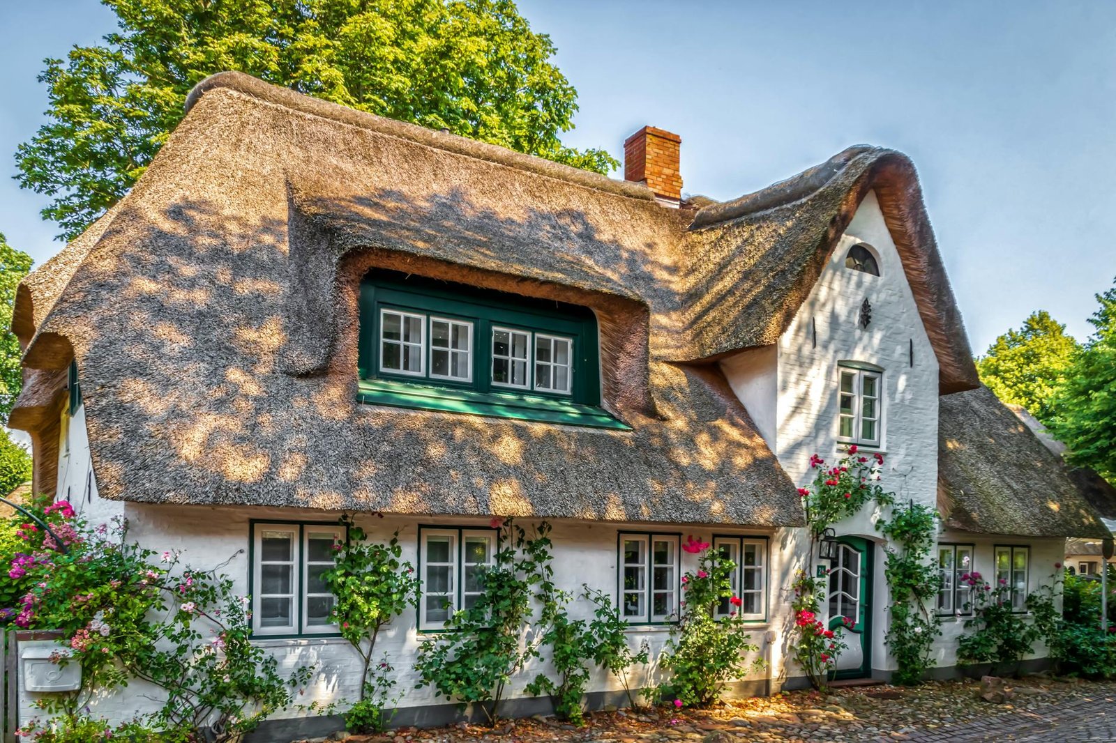 house with a thatched roof decorated with flower shrubs planted in front of the house